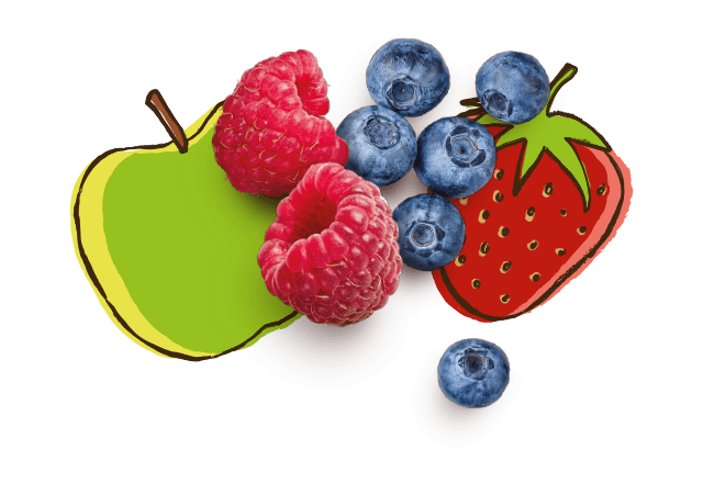 aus Bio Apfel, Himbeere, Heidelbeere und Erdbeere
