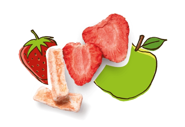 Bio Knusper Früchte aus Apfel und Erdbeere