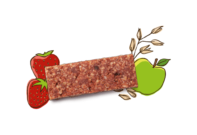 Bio Riegel aus Apfel und Erdbeere