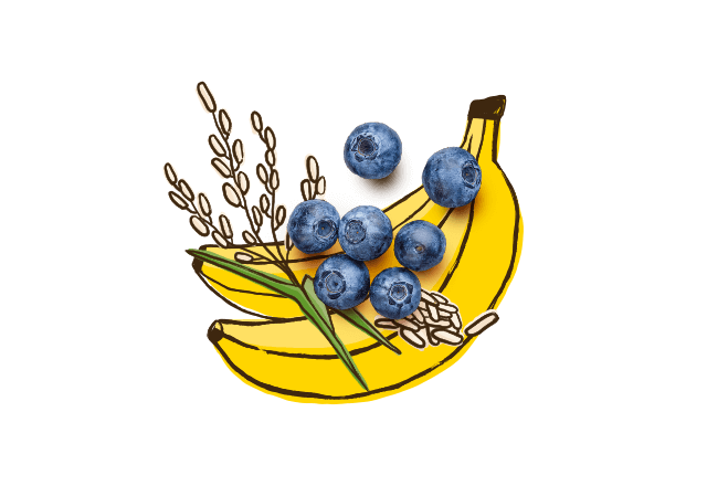 aus Bio Banane, Heidelbeere und Reis