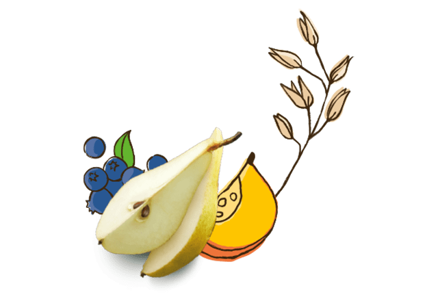 Birne, Kürbis und Heidelbeeren