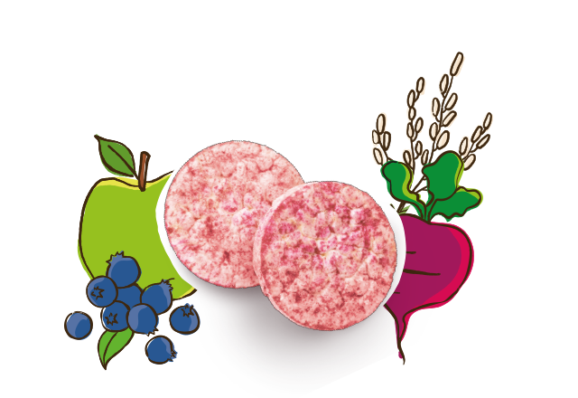 Bio Reiswaffeln mit Apfel, heidelbeere, Rote Bete und Reis