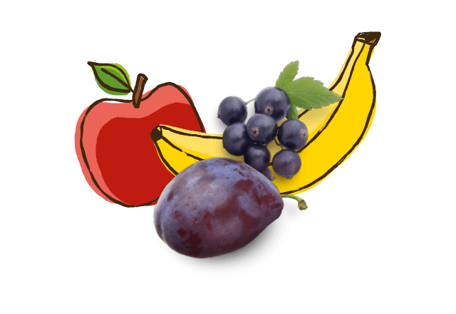 aus bio Apfel, banane, Johannisbeere und Pflaume