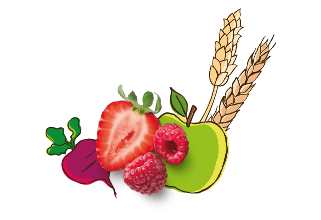 Bio Erdbeere, Himbeere, Rote Bete und Apfel