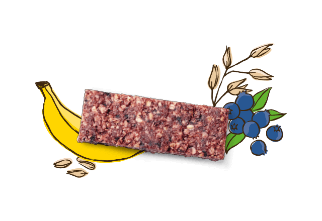 Bio Riegel aus Banane und Heidelbeere
