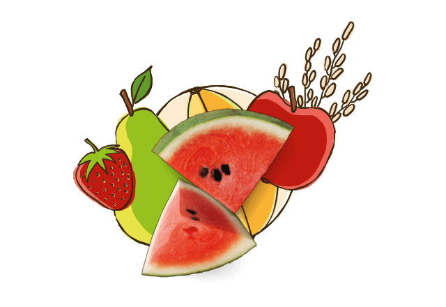aus Bio Melone, Birne, Apfel und Erdbeere