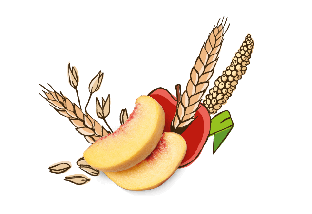 aus Bio Pfirsich und Apfel
