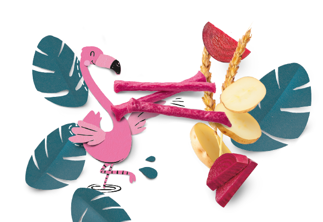 re4.fallbackImageTitle.product