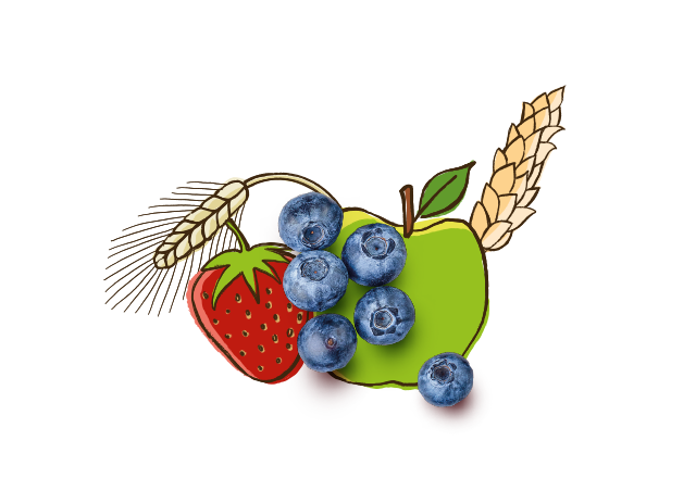aus Bio Apfel und Heidelbeere
